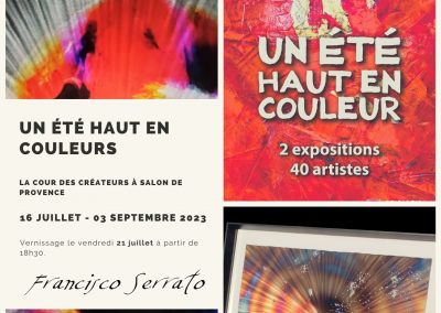Expo à Salon de Provence fait découvrir tout au long de l’été une quarantaine d’artistes